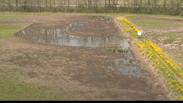 capture-14-22-05-10_13-36-33-33