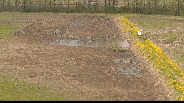 capture-14-22-05-10_15-41-14-54