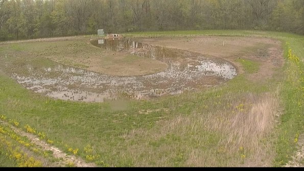 capture-15-22-05-10_16-43-48-51