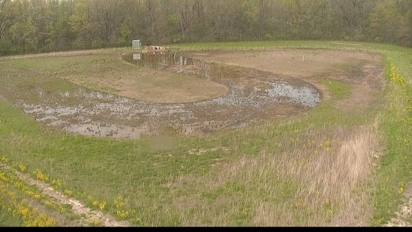 capture-15-22-05-10_17-46-08-33