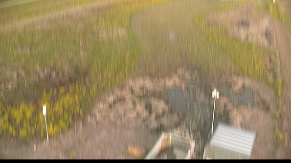 capture-3-22-05-10_07-21-19-38