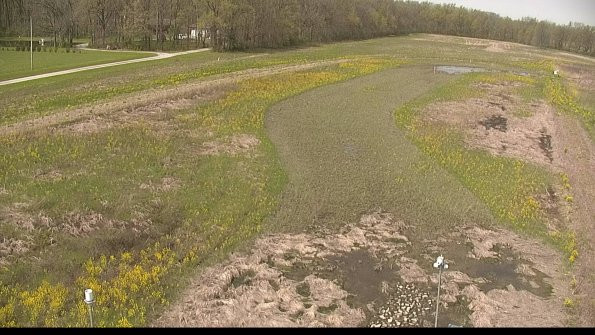 capture-3-22-05-10_11-30-43-25