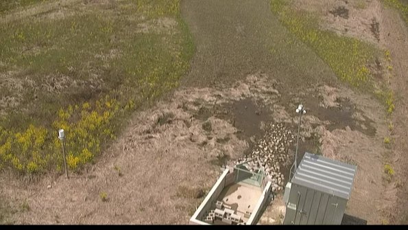 capture-3-22-05-10_12-33-03-30