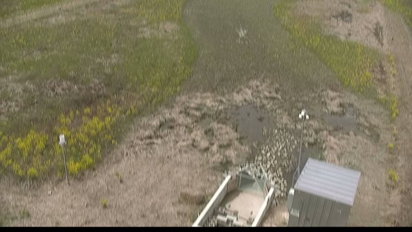 capture-3-22-05-10_13-35-24-33