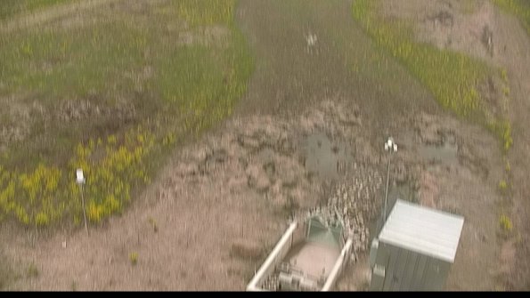 capture-3-22-05-10_16-42-25-29