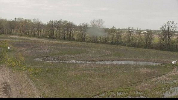 capture-4-22-05-10_13-35-51-42