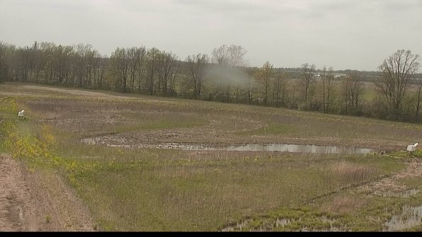 capture-4-22-05-10_15-40-31-43