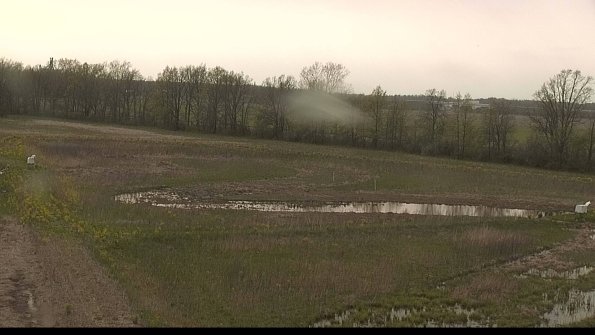 capture-4-22-05-10_17-45-12-41