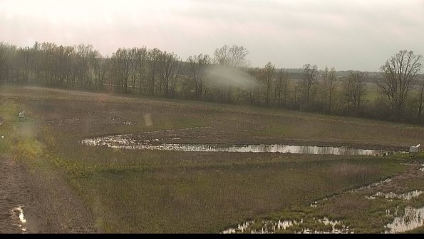 capture-4-22-05-10_18-47-32-33