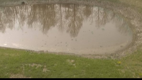 capture-8-22-05-10_09-25-46-38