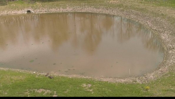 capture-8-22-05-10_14-37-30-24