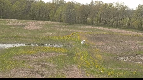 capture-12-22-05-11_13-29-24-44