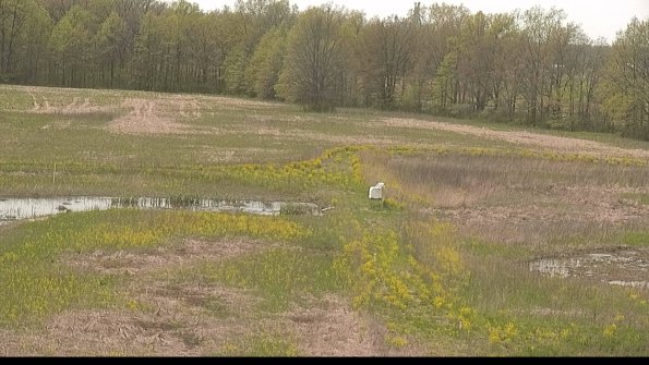 capture-12-22-05-11_14-31-44-36