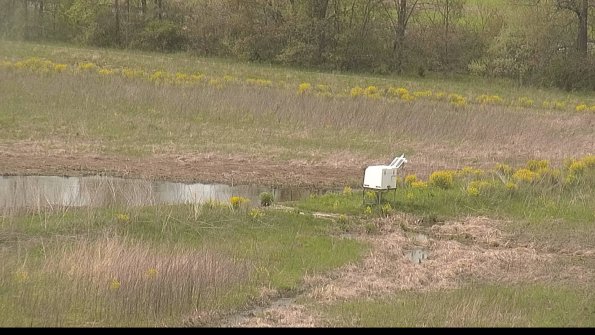 capture-13-22-05-11_14-32-11-32