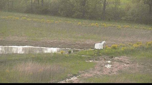 capture-13-22-05-11_19-43-54-32