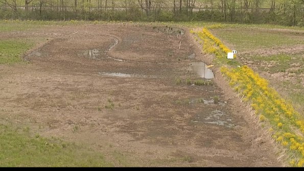 capture-14-22-05-11_14-32-40-49