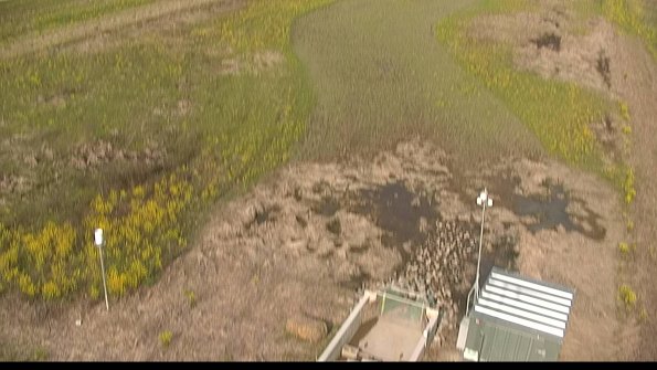 capture-3-22-05-11_09-19-51-35