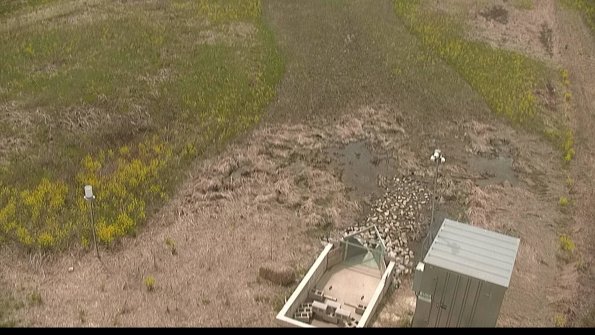 capture-3-22-05-11_14-31-30-28