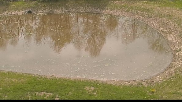 capture-8-22-05-11_11-24-14-21