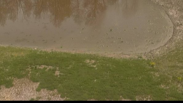 capture-8-22-05-11_14-31-15-37