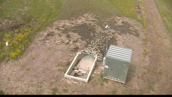 capture-9-22-05-11_11-26-07-36