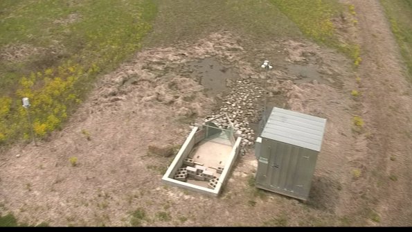 capture-9-22-05-11_13-30-48-39