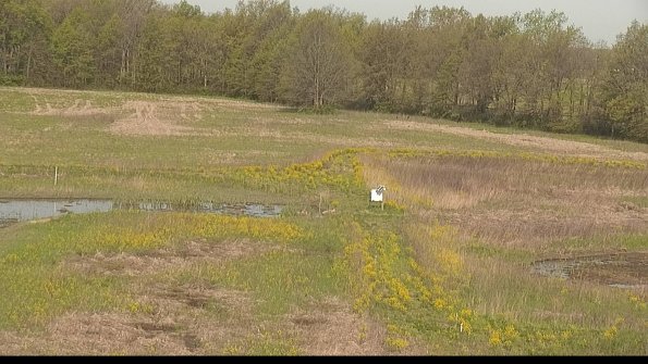 capture-12-22-05-12_09-13-55-36