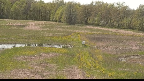 capture-12-22-05-12_15-28-00-43