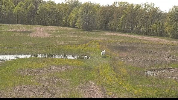 capture-12-22-05-12_16-30-21-31