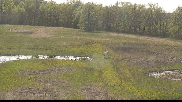 capture-12-22-05-12_17-32-42-43