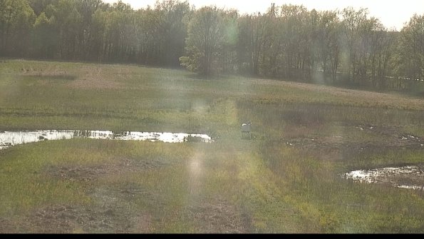 capture-12-22-05-12_18-35-03-38