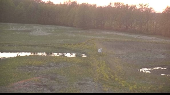 capture-12-22-05-12_20-39-46-28