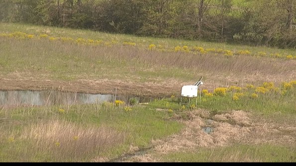 capture-13-22-05-12_09-14-21-96