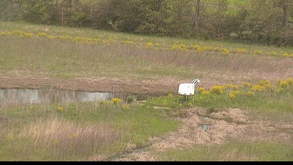 capture-13-22-05-12_10-16-42-28