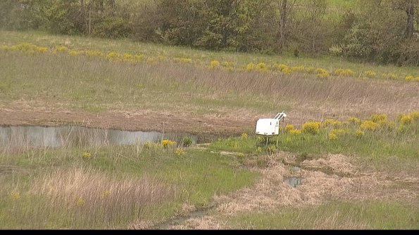 capture-13-22-05-12_11-19-03-47