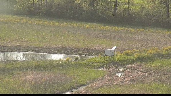 capture-13-22-05-12_18-35-30-31