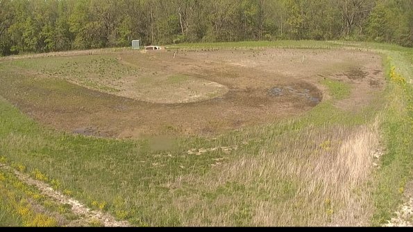 capture-15-22-05-12_16-31-31-48