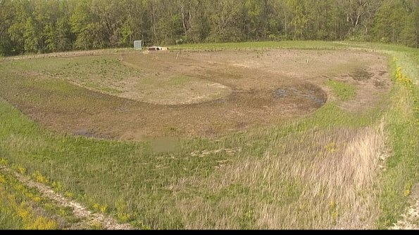 capture-15-22-05-12_17-33-52-50