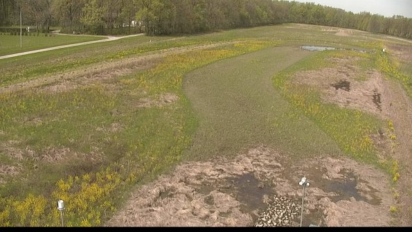 capture-3-22-05-12_11-18-22-87