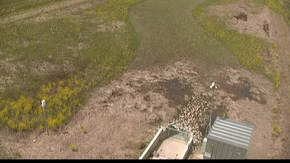 capture-3-22-05-12_12-20-43-35