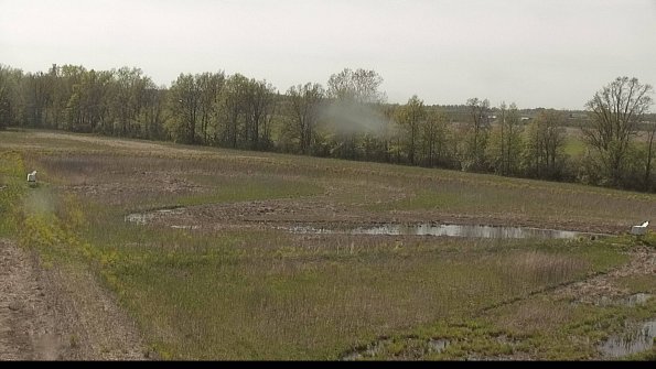 capture-4-22-05-12_16-30-34-69