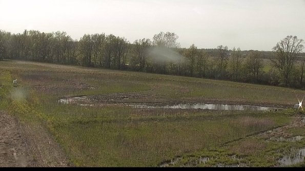 capture-4-22-05-12_17-32-55-58