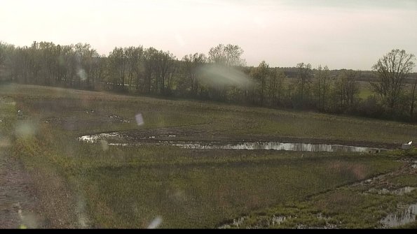 capture-4-22-05-12_18-35-16-36