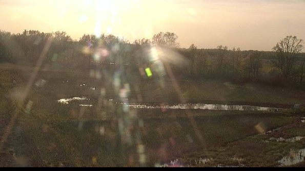 capture-4-22-05-12_19-37-37-31