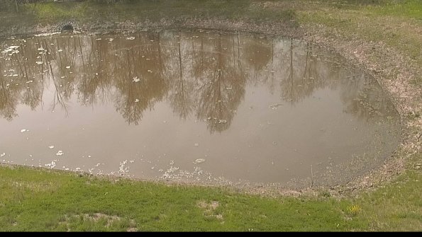 capture-8-22-05-12_10-15-46-99