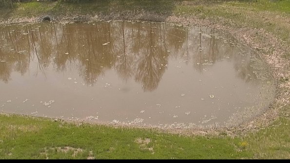 capture-8-22-05-12_11-18-08-18