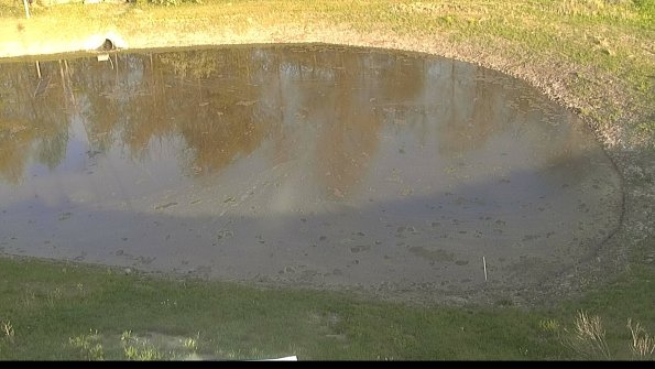 capture-8-22-05-12_19-36-56-17