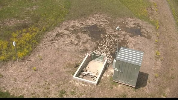 capture-9-22-05-12_12-22-22-42