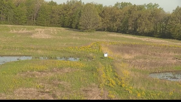 capture-12-22-05-14_07-59-24-34