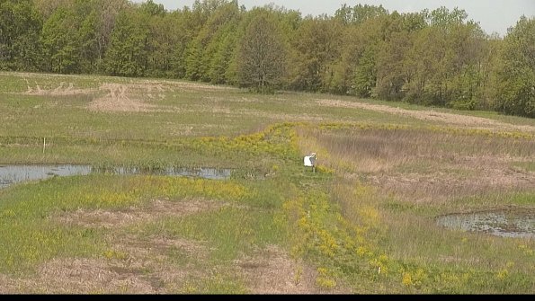 capture-12-22-05-14_11-06-25-34